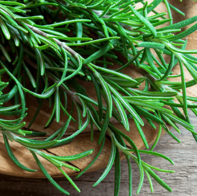Tea Tree Oil & Rosemary Leaf Extract